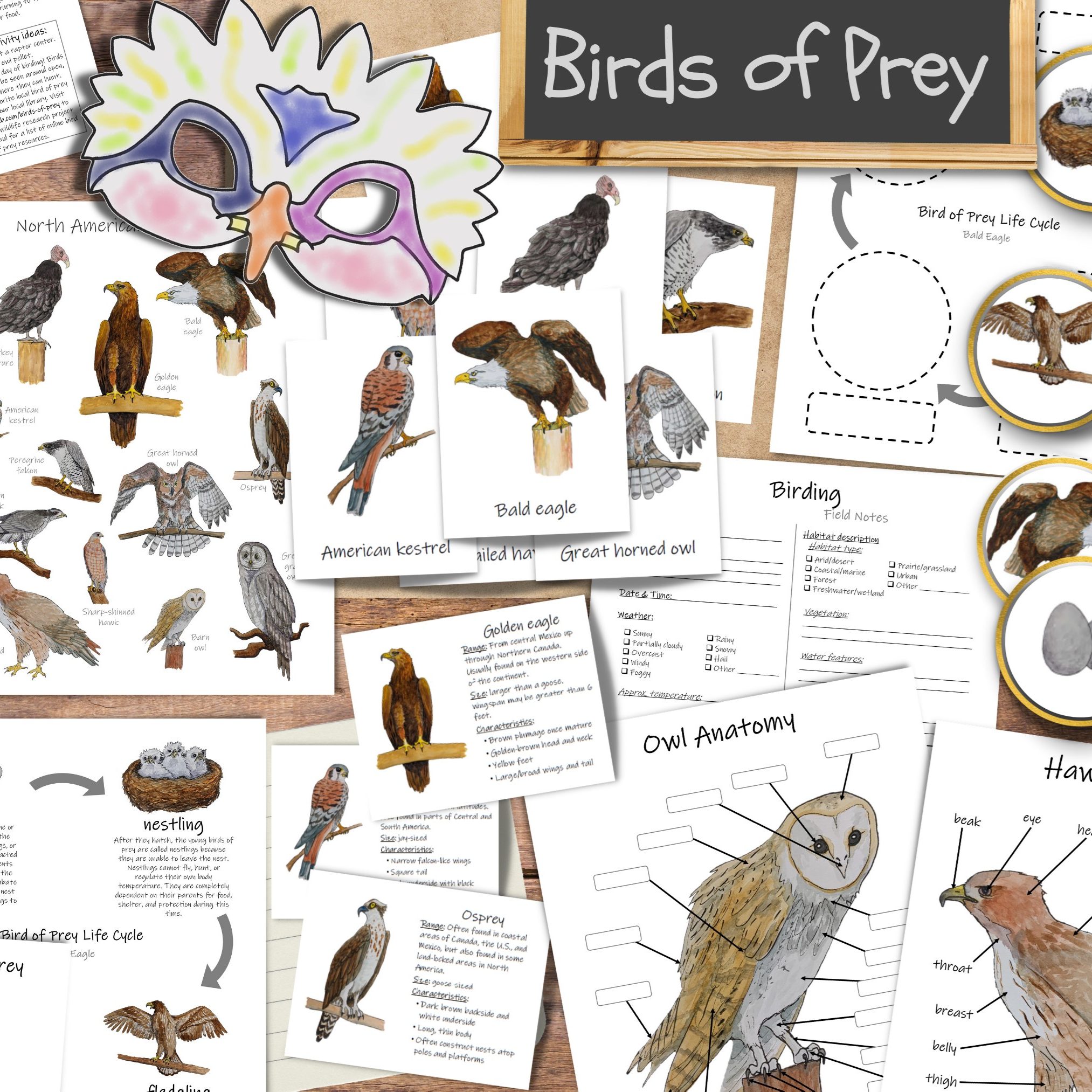 Birds of Prey of Mexico Poster