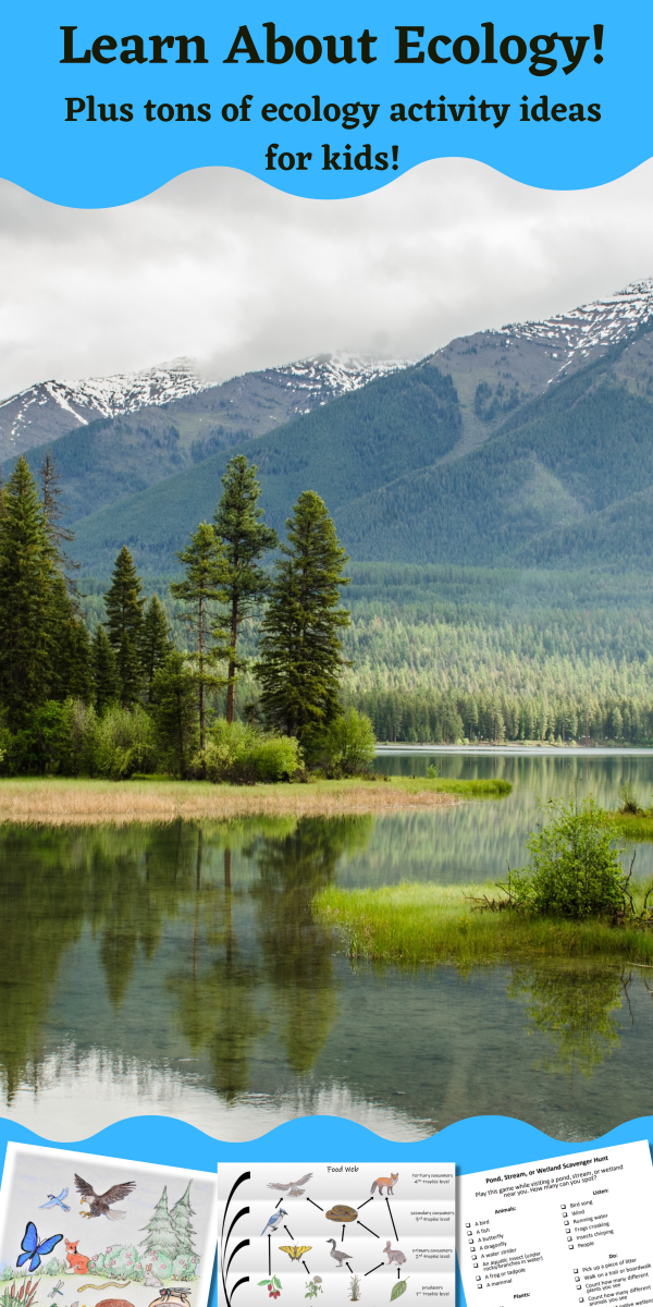 Photo of a mountain pond on a banner stating learn about ecology! plus tons of ecology activity ideas for kids!"