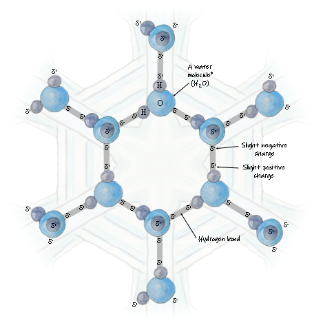 Water Molecule Activities Projects To Try In Your Classroom