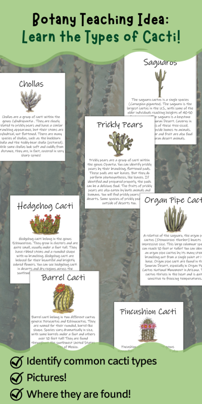 banner with the text "Botany teaching idea: learn the types of cacti"