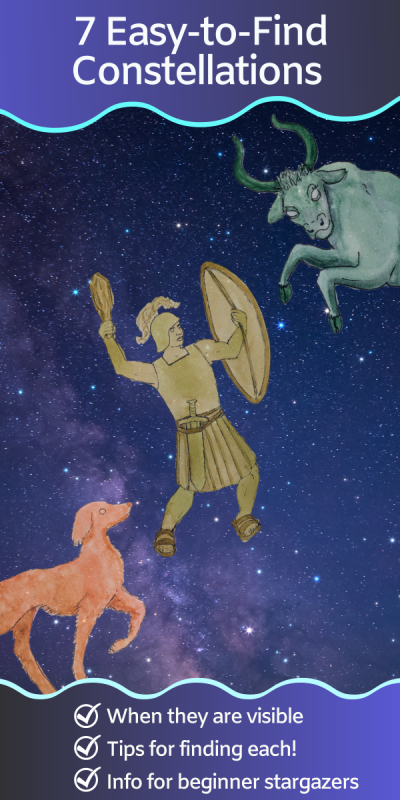 drawings of a dog, hunter, and bull overlaid on the night sky